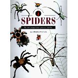 Identifying Spiders: The New Compact Study Guide and Identifier