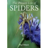 The Private Life of Spiders