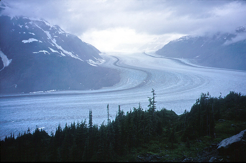 Salmon Glacier