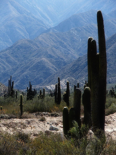 custodios, Catamarca, Argentina