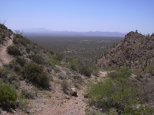 View of Tucson Valley