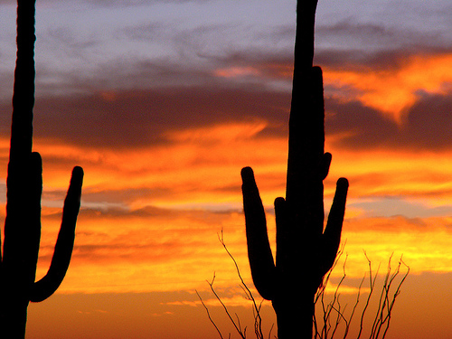 Super Sunset in the Desert