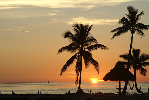 sunrise and hammock, Isla Morada