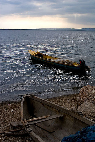 fishing boats in kingston harbor