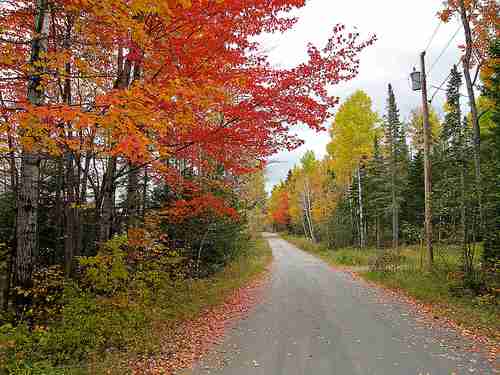 Autumn in Maine