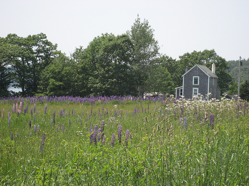 Father's Day in Maine